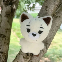 K-pop Idol Plush Keychain