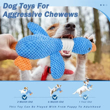 Interactive Plush Squeaky Pet Toy