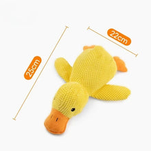 Interactive Plush Squeaky Pet Toy