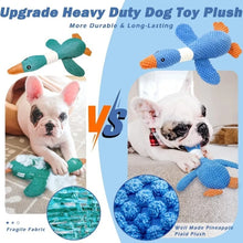 Interactive Plush Squeaky Pet Toy