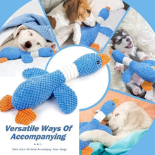 Interactive Plush Squeaky Pet Toy