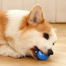 Automatic Interactive Puppy Toy Ball