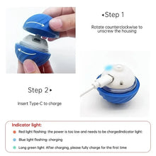 Automatic Interactive Puppy Toy Ball