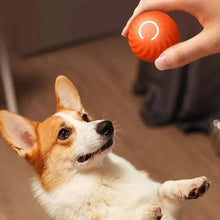 Automatic Interactive Puppy Toy Ball