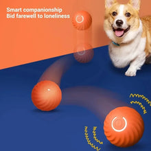 Automatic Interactive Puppy Toy Ball