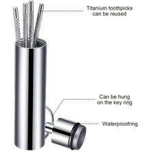 Portable Stainless Steel Toothpick Set