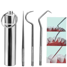 Portable Stainless Steel Toothpick Set