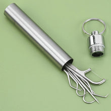 Portable Stainless Steel Toothpick Set