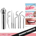Portable Stainless Steel Toothpick Set