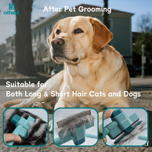 Oitabi Fine Tooth Pet Grooming Comb