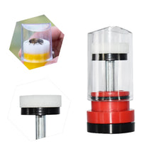 Queen Bee Marking Tool
