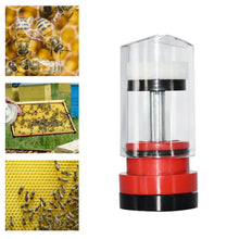 Queen Bee Marking Tool