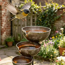 Bronze Bird Bath Feeder