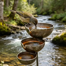 Bronze Bird Bath Feeder