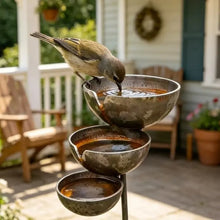 Bronze Bird Bath Feeder