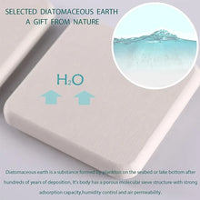 Diatomite Stone Drying Trays