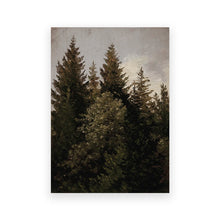 Rustic Mountain Forest Landscape Canvas Prints, Vintage Farmhouse Wall Art - image 21