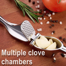 Hand Press Garlic Crusher Easy To Squeeze and Clean Soft and Easy To Squeeze Handle Zinc Alloy Garlic Chopper and Crusher