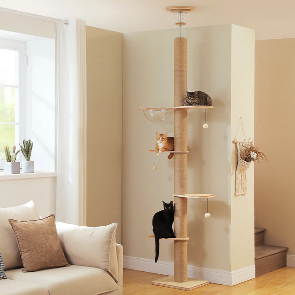 Árbol para gatos de piso a techo para gatos de interior, torre de madera para gatos de altura ajustable con postes rascadores gruesos, cueva de acrílico y juguetes para gatos