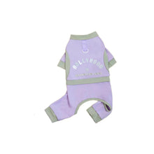Pet Apparel Ice Silk Dog Cooling Jumpsuit Breathable Thin Dog Four Legged Clothes Fashionable Soft Cat T Shirt Summer