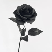 5pcs Black&Red Artificial Rose Flowers Branch Gothic Fake Flower Bouquet for Home Wedding Party Halloween Decor