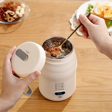 500ml Electric Kettle Cooking Pot Stew Cup Multicooker Car Travel Heating Cup Boil Water Cup Thermo Pot Portable Kettle 220V