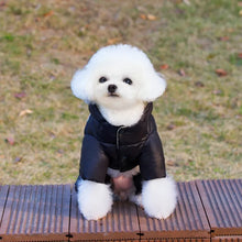 Dog Waterproof Jacket Cotton Pet Dog Coat Luxury Four Legged Dog Clothes Chihuahua French Bulldog Bichon Puppy Jumpsuit Ski Suit