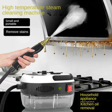 2500W Steam Cleaner High Temperature Household Sterilization Air Conditioner Kitchen Hood Car Steam Cleaner US Plug/ EU Plug