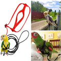 Training Flying Traction Rope Anti-Bite Training Rope Bird Parrot Flying Rope Parrot Harness Bird Harness Leash
