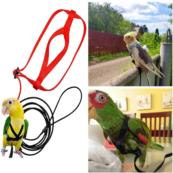 Anti-Bite Bird Harness and Flying Leash for Parrots with Adjustable Vest