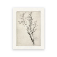 Rustic Mountain Forest Landscape Canvas Prints, Vintage Farmhouse Wall Art - image 13
