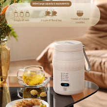 500ml Electric Kettle Cooking Pot Stew Cup Multicooker Car Travel Heating Cup Boil Water Cup Thermo Pot Portable Kettle 220V