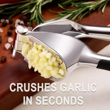Hand Press Garlic Crusher Easy To Squeeze and Clean Soft and Easy To Squeeze Handle Zinc Alloy Garlic Chopper and Crusher