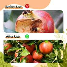 3/1PCS Large Wasp Traps Waterproof Hanging Hornets Trap for Indoor Outdoor Reusable Garden Fruit Fly Catcher Pest Control Tools